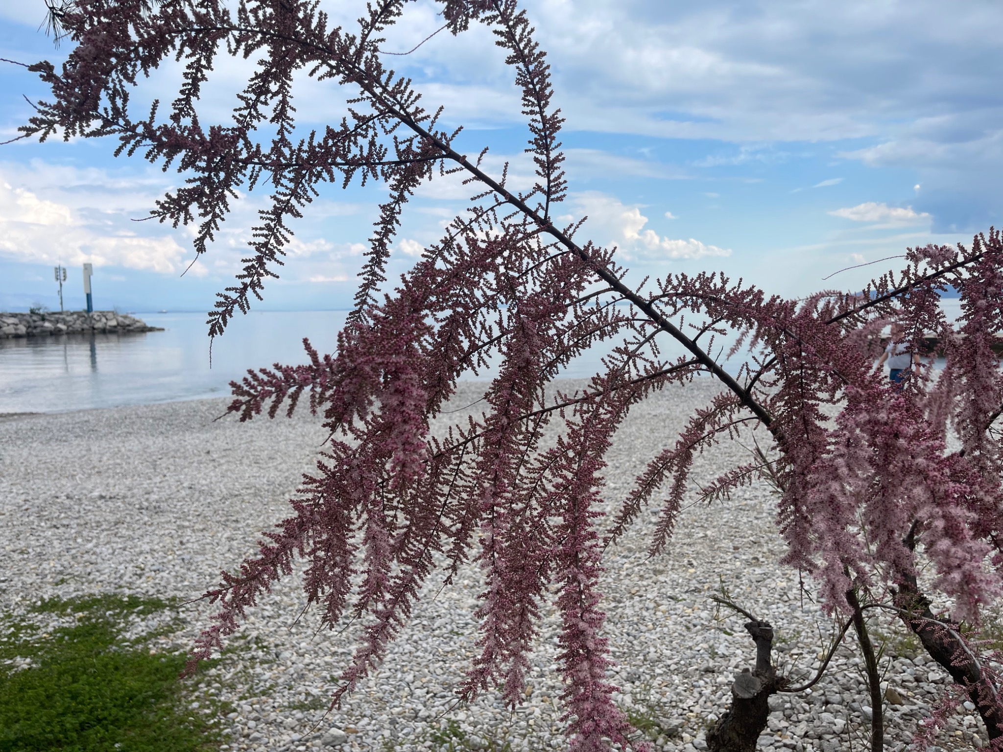 Opatija und Lungomare